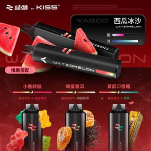 【WAGOO 哇酷】6500 型 78 轉瞬變幻 內嵌 KIS5 職人級防漏密封系統 重塑純淨吸吮新高度 杜絕雜質與焦味隱患 台灣現貨